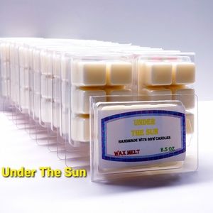 UNDER THE SUN -Bath & Body Works Candle Wax Melts- $8 per pack